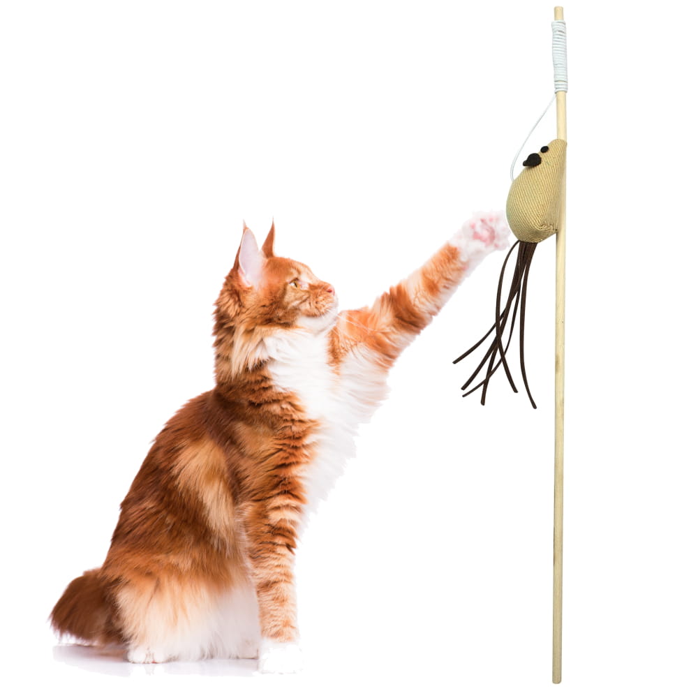 CAT-ROD-WOOD-3 2.jpg